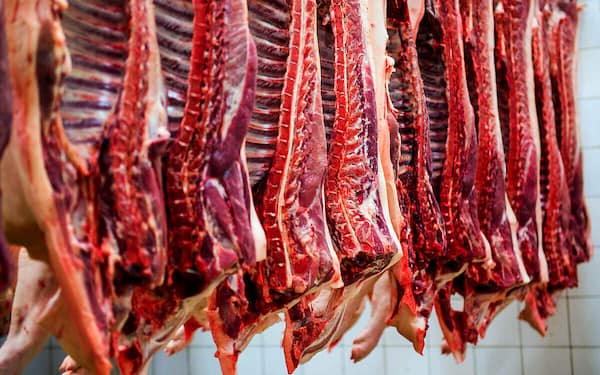 تصویر 3 از قیمت خرید گوشت ماهیچه گوسفندی با فروش عمده